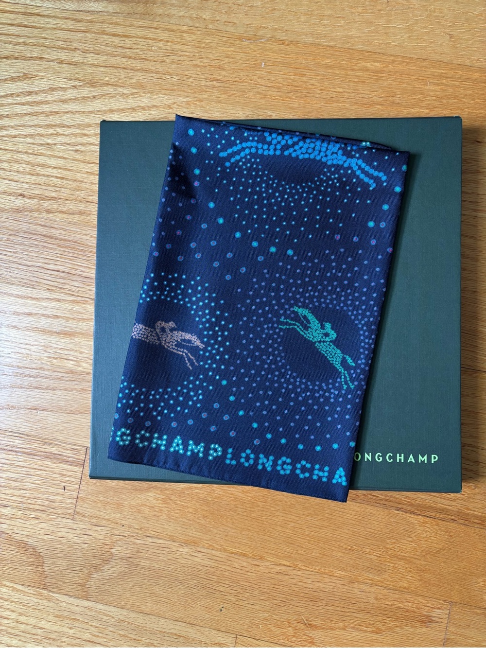 Longchamp Silk Scarf